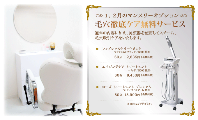 ノエビア 表参道 【1,2月のマンスリーオプション】毛穴徹底ケア無料サービス