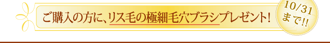 ノエビア 表参道 『ご購入の方に、リス毛の極細毛穴ブラシプレゼント！【10/31まで】』